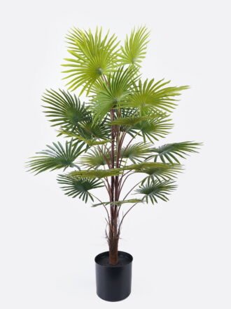 Artificial Tree 50*50*90cm Tree *3 in PP pot/12 lvs GS-26625004CT 2025SEP 3,000+ sqm showroom with thousands of artificial flowers, plants & trees ready for global sourcing.