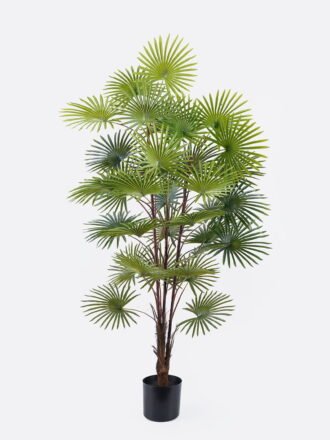 Artificial Tree 60*60*120cm Tree *3 in PP pot/24 lvs GS-26625005CT 2025SEP 3,000+ sqm showroom with thousands of artificial flowers, plants & trees ready for global sourcing.