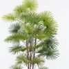 Artificial Tree 70*70*160cm Tree *3 in PP pot/34 lvs GS-26625006CT 2025SEP YeahFlower is one of Chinese leading OEM manufacturers and exporters , supplying the silk flowers, wholesale artificial trees