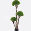 Artificial Tree 50*50*150cm Tree *3 in PP pot GS-26625007CT 2025SEP YeahFlower is one of Chinese leading OEM manufacturers and exporters , supplying the silk flowers, wholesale artificial trees