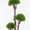 Artificial Tree 50*50*150cm Tree *3 in PP pot GS-26625007CT 2025SEP YeahFlower is one of Chinese leading OEM manufacturers and exporters , supplying the silk flowers, wholesale artificial trees