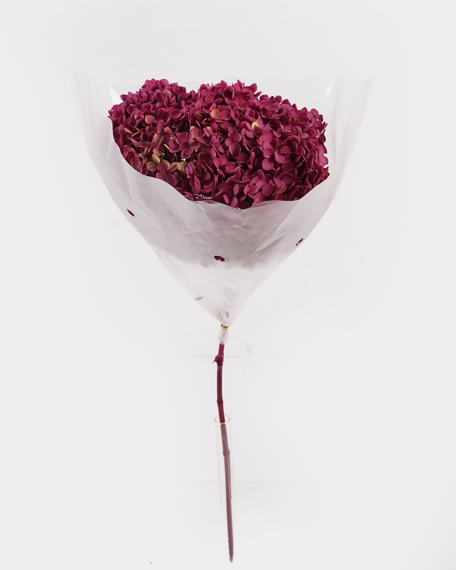 Dried Flowers 60cm Dried natura plant bundle GS-56624149P48-P1 2025AUG YeahFlower is one of Chinese leading OEM manufacturers and exporters , supplying the silk flowers, wholesale artificial trees