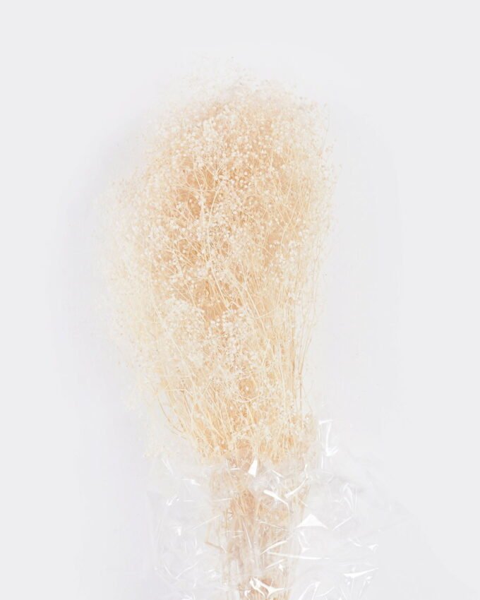 Dried Flowers 60cm Dried natural items (50g/bouquet,H:60cm) GS-56621134-W1 2025Oct 3,000+ sqm showroom with thousands of artificial flowers, plants & trees ready for global sourcing.