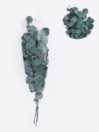 Dried Flowers 70cm Apple leaf single stem GS-56624112-G3 2025Oct 3,000+ sqm showroom with thousands of artificial flowers, plants & trees ready for global sourcing.