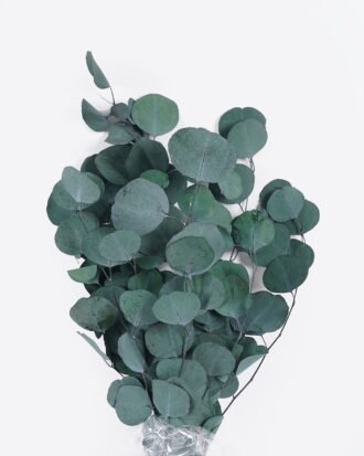 Dried Flowers 70cm Apple leaf single stem GS-56624112-G1 2025Oct YeahFlower is one of Chinese leading OEM manufacturers and exporters , supplying the silk flowers, wholesale artificial trees