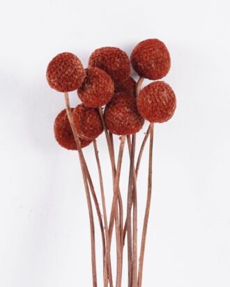 Dried Flowers 9*47CM Berry, 16pcs/bag, H:40-60cm/pc GS-56620028-K2 2025Oct YeahFlower is one of Chinese leading OEM manufacturers and exporters , supplying the silk flowers, wholesale artificial trees Dried Flowers 9*47CM Berry, 16pcs/bag, H:40-60cm/pc GS-56620028-K2 2025Oct YeahFlower is one of Chinese leading OEM manufacturers and exporters , supplying the silk flowers, wholesale artificial trees