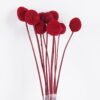 Dried Flowers 9*47CM Berry, 16pcs/bag, H:40-60cm/pc GS-56620028-R2 2025Oct YeahFlower is one of Chinese leading OEM manufacturers and exporters , supplying the silk flowers, wholesale artificial trees