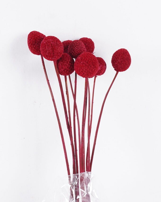 Dried Flowers 9*47CM Berry, 16pcs/bag, H:40-60cm/pc GS-56620028-R2 2025Oct YeahFlower is one of Chinese leading OEM manufacturers and exporters , supplying the silk flowers, wholesale artificial trees