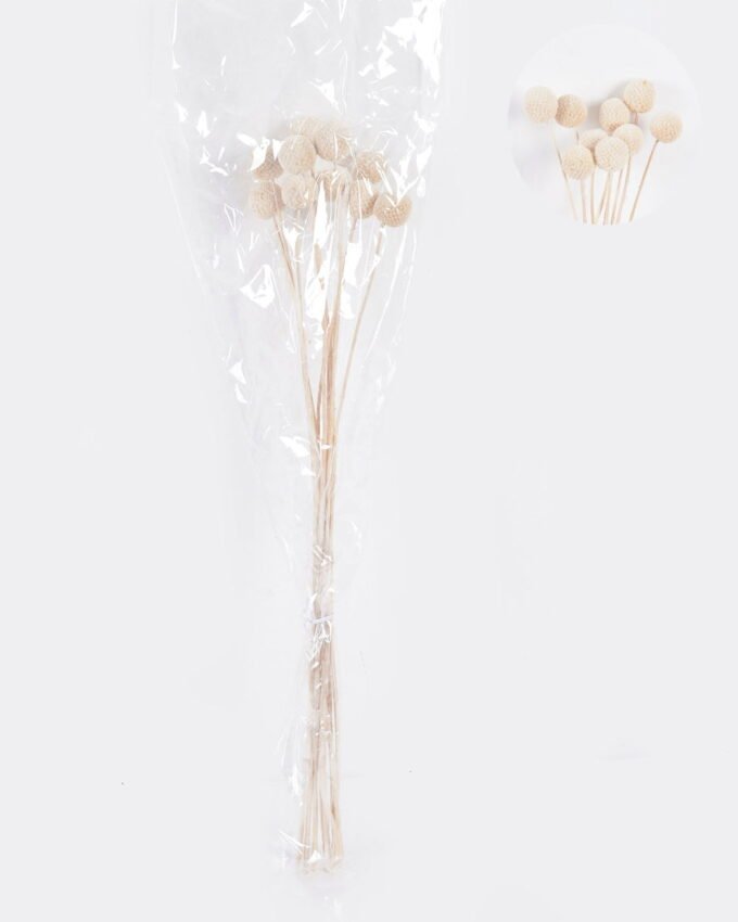 Dried Flowers 9*47CM Berry, 16pcs/bag, H:40-60cm/pc GS-56620028-W1 2025Oct YeahFlower is one of Chinese leading OEM manufacturers and exporters , supplying the silk flowers, wholesale artificial trees