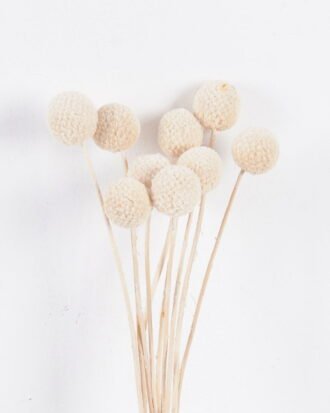 Dried Flowers 9*47CM Berry, 16pcs/bag, H:40-60cm/pc GS-56620028-W1 2025Oct YeahFlower is one of Chinese leading OEM manufacturers and exporters , supplying the silk flowers, wholesale artificial trees