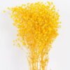 Dried Flowers 18*66cm Dried Gypsophila Bouquet GS-56620033P48-Y1 2025Oct YeahFlower is one of Chinese leading OEM manufacturers and exporters , supplying the silk flowers, wholesale artificial trees