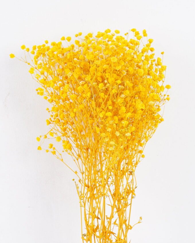 Dried Flowers 18*66cm Dried Gypsophila Bouquet GS-56620033P48-Y1 2025Oct YeahFlower is one of Chinese leading OEM manufacturers and exporters , supplying the silk flowers, wholesale artificial trees
