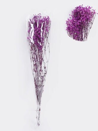 Dried Flowers 18*66cm Dried Gypsophila Bouquet GS-56620033P48-Y1 2025Oct 3,000+ sqm showroom with thousands of artificial flowers, plants & trees ready for global sourcing.