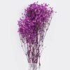Dried Flowers 18*66cm Dried Gypsophila Bouquet GS-56620033P48-Z1 2025Oct YeahFlower is one of Chinese leading OEM manufacturers and exporters , supplying the silk flowers, wholesale artificial trees