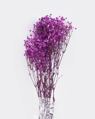 Dried Flowers 18*66cm Dried Gypsophila Bouquet GS-56620033P48-Z1 2025Oct YeahFlower is one of Chinese leading OEM manufacturers and exporters , supplying the silk flowers, wholesale artificial trees