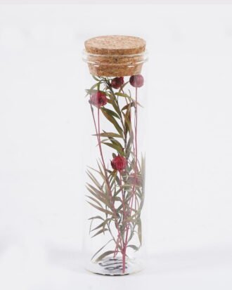Dried Flowers 3*3*10cm Dried flower in glass GS-56625059-RST 2025Oct YeahFlower is one of Chinese leading OEM manufacturers and exporters , supplying the silk flowers, wholesale artificial trees Dried Flowers 3*3*10cm Dried flower in glass GS-56625059-RST 2025Oct YeahFlower is one of Chinese leading OEM manufacturers and exporters , supplying the silk flowers, wholesale artificial trees