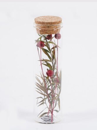 Dried Flowers 3*3*10cm Dried flower in glass GS-56625060-RST 2025Oct 3,000+ sqm showroom with thousands of artificial flowers, plants & trees ready for global sourcing.