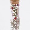 Dried Flowers Dried flower in glass GS-56625059-RST_3 Dried Flowers 3*3*10cm Dried flower in glass GS-56625059-RST 2025Oct YeahFlower is one of Chinese leading OEM manufacturers and exporters , supplying the silk flowers, wholesale artificial trees