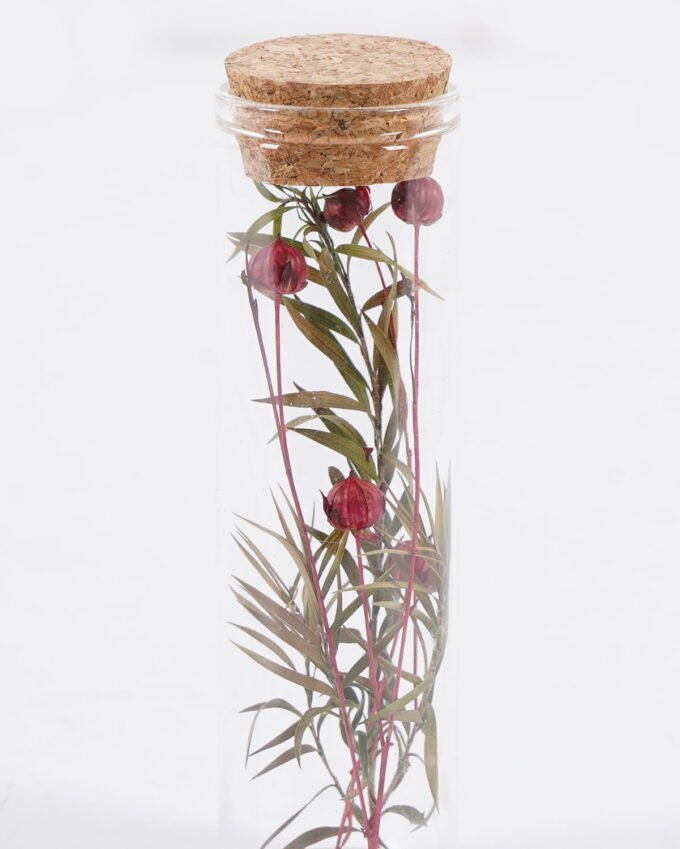 Dried Flowers Dried flower in glass GS-56625059-RST_3 Dried Flowers 3*3*10cm Dried flower in glass GS-56625059-RST 2025Oct YeahFlower is one of Chinese leading OEM manufacturers and exporters , supplying the silk flowers, wholesale artificial trees