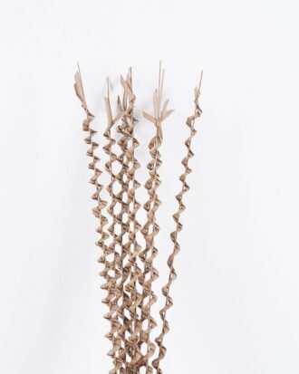 Dried Flowers Grass,8pc/bag(REMARK : standard : pcs not weight) GS-56619047-K1 2025Oct YeahFlower is one of Chinese leading OEM manufacturers and exporters , supplying the silk flowers, wholesale artificial trees Dried Flowers Grass,8pc/bag(REMARK : standard : pcs not weight) GS-56619047-K1 2025Oct YeahFlower is one of Chinese leading OEM manufacturers and exporters , supplying the silk flowers, wholesale artificial trees