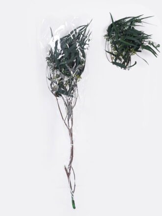 Dried Flowers 17*66cm Leaf bundle,80g/bag, H:60-70cm/pc GS-56620026P48-B1 2025Oct 3,000+ sqm showroom with thousands of artificial flowers, plants & trees ready for global sourcing.
