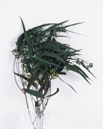 Dried Flowers 17*66cm Leaf bundle,80g/bag, H:60-70cm/pc GS-56620026P48-G1 2025Oct YeahFlower is one of Chinese leading OEM manufacturers and exporters , supplying the silk flowers, wholesale artificial trees Dried Flowers 17*66cm Leaf bundle,80g/bag, H:60-70cm/pc GS-56620026P48-G1 2025Oct YeahFlower is one of Chinese leading OEM manufacturers and exporters , supplying the silk flowers, wholesale artificial trees