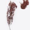 Dried Flowers 17*66cm Leaf bundle,80g/bag, H:60-70cm/pc GS-56620026P48-K1 2025Oct YeahFlower is one of Chinese leading OEM manufacturers and exporters , supplying the silk flowers, wholesale artificial trees