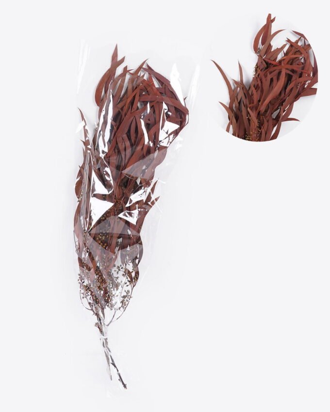 Dried Flowers 17*66cm Leaf bundle,80g/bag, H:60-70cm/pc GS-56620026P48-K1 2025Oct YeahFlower is one of Chinese leading OEM manufacturers and exporters , supplying the silk flowers, wholesale artificial trees