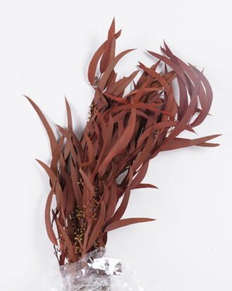 Dried Flowers 17*66cm Leaf bundle,80g/bag, H:60-70cm/pc GS-56620026P48-K1 2025Oct YeahFlower is one of Chinese leading OEM manufacturers and exporters , supplying the silk flowers, wholesale artificial trees Dried Flowers 17*66cm Leaf bundle,80g/bag, H:60-70cm/pc GS-56620026P48-K1 2025Oct YeahFlower is one of Chinese leading OEM manufacturers and exporters , supplying the silk flowers, wholesale artificial trees