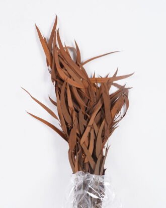 Dried Flowers 17*66cm Leaf bundle,80g/bag, H:60-70cm/pc GS-56620026P48-O1 2025Oct YeahFlower is one of Chinese leading OEM manufacturers and exporters , supplying the silk flowers, wholesale artificial trees Dried Flowers 17*66cm Leaf bundle,80g/bag, H:60-70cm/pc GS-56620026P48-O1 2025Oct YeahFlower is one of Chinese leading OEM manufacturers and exporters , supplying the silk flowers, wholesale artificial trees