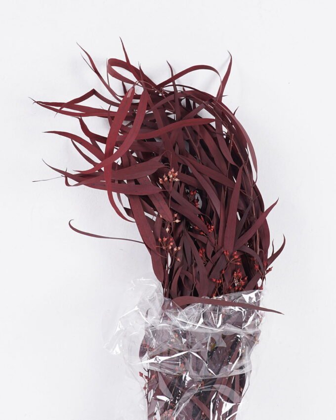 Dried Flowers 17*66cm Leaf bundle,80g/bag, H:60-70cm/pc GS-56620026P48-R1 2025Oct YeahFlower is one of Chinese leading OEM manufacturers and exporters , supplying the silk flowers, wholesale artificial trees