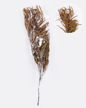 Dried Flowers 17*66cm Leaf bundle,80g/bag, H:60-70cm/pc GS-56620026P48-Y1 2025Oct YeahFlower is one of Chinese leading OEM manufacturers and exporters , supplying the silk flowers, wholesale artificial trees Dried Flowers 17*66cm Leaf bundle,80g/bag, H:60-70cm/pc GS-56620026P48-Y1 2025Oct YeahFlower is one of Chinese leading OEM manufacturers and exporters , supplying the silk flowers, wholesale artificial trees