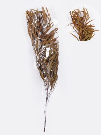 Dried Flowers 17*66cm Leaf bundle,80g/bag, H:60-70cm/pc GS-56620026P48-Z1 2025Oct 3,000+ sqm showroom with thousands of artificial flowers, plants & trees ready for global sourcing.
