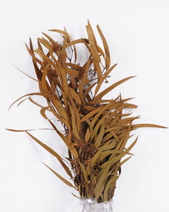 Dried Flowers 17*66cm Leaf bundle,80g/bag, H:60-70cm/pc GS-56620026P48-Y1 2025Oct YeahFlower is one of Chinese leading OEM manufacturers and exporters , supplying the silk flowers, wholesale artificial trees Dried Flowers 17*66cm Leaf bundle,80g/bag, H:60-70cm/pc GS-56620026P48-Y1 2025Oct YeahFlower is one of Chinese leading OEM manufacturers and exporters , supplying the silk flowers, wholesale artificial trees