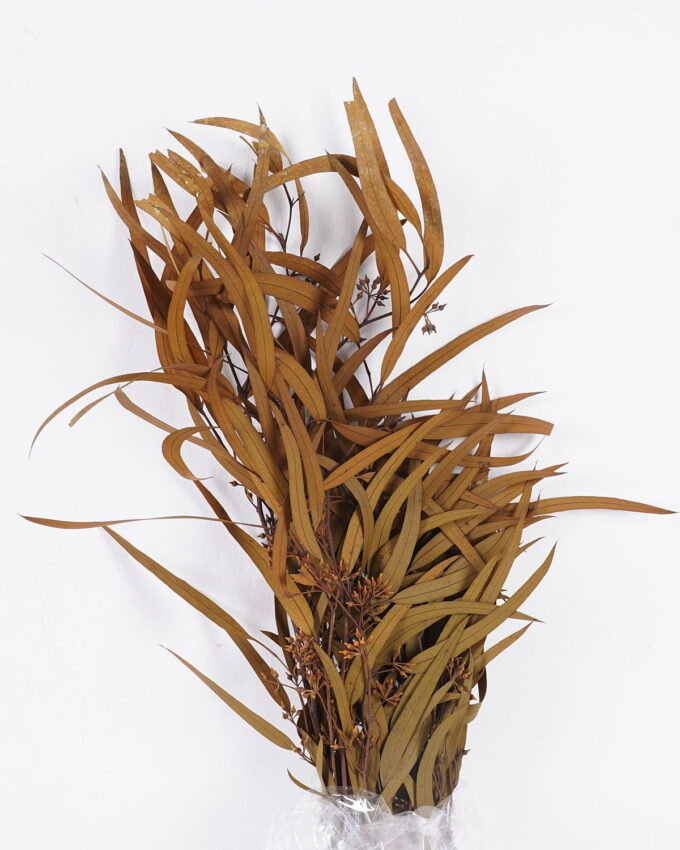 Dried Flowers 17*66cm Leaf bundle,80g/bag, H:60-70cm/pc GS-56620026P48-Y1 2025Oct YeahFlower is one of Chinese leading OEM manufacturers and exporters , supplying the silk flowers, wholesale artificial trees