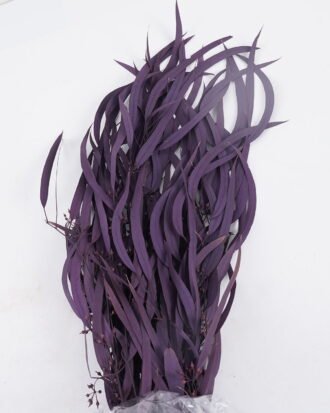 Dried Flowers 17*66cm Leaf bundle,80g/bag, H:60-70cm/pc GS-56620026P48-Z1 2025Oct YeahFlower is one of Chinese leading OEM manufacturers and exporters , supplying the silk flowers, wholesale artificial trees Dried Flowers 17*66cm Leaf bundle,80g/bag, H:60-70cm/pc GS-56620026P48-Z1 2025Oct YeahFlower is one of Chinese leading OEM manufacturers and exporters , supplying the silk flowers, wholesale artificial trees