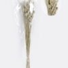 Dried Flowers 12*70cm Nature grass 70g GS-56619033P24-G2 2025Oct YeahFlower is one of Chinese leading OEM manufacturers and exporters , supplying the silk flowers, wholesale artificial trees