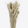 Dried Flowers 12*70cm Nature grass 70g GS-56619033P24-G2 2025Oct YeahFlower is one of Chinese leading OEM manufacturers and exporters , supplying the silk flowers, wholesale artificial trees