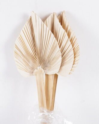 Dried Flowers 20.5*50CM palm-leaf fan, 3pcs/bag GS-56620007-W1 2025Oct YeahFlower is one of Chinese leading OEM manufacturers and exporters , supplying the silk flowers, wholesale artificial trees Dried Flowers 20.5*50CM palm-leaf fan, 3pcs/bag GS-56620007-W1 2025Oct YeahFlower is one of Chinese leading OEM manufacturers and exporters , supplying the silk flowers, wholesale artificial trees