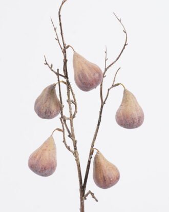 Artificial Branch fruit 15*15*82cm Ficus carica *5 single stem GS-77625015 2026Feb YeahFlower is one of Chinese leading OEM manufacturers and exporters , supplying the silk flowers, wholesale artificial trees Artificial Branch fruit 15*15*82cm Ficus carica *5 single stem GS-77625015 2026Feb YeahFlower is one of Chinese leading OEM manufacturers and exporters , supplying the silk flowers, wholesale artificial trees