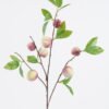 Artificial Branch fruit Prunus persica 7 single stem GS-77625013_3 Artificial Branch fruit 18*18*82cm Prunus persica *7 single stem GS-77625013 2026Feb YeahFlower is one of Chinese leading OEM manufacturers and exporters , supplying the silk flowers, wholesale artificial trees