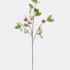 Artificial Branch fruit Prunus persica 7 single stem GS-77625013_4 Artificial Branch fruit 18*18*82cm Prunus persica *7 single stem GS-77625013 2026Feb YeahFlower is one of Chinese leading OEM manufacturers and exporters , supplying the silk flowers, wholesale artificial trees