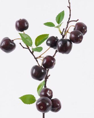 Artificial Flower 16*16*56cm Apple Single Stem GS-63625020-R3 2025Dec YeahFlower is one of Chinese leading OEM manufacturers and exporters , supplying the silk flowers, wholesale artificial trees