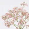 Artificial Flower 29*29*69cm Babysbreath *3 bundle GS-64425008-P1 2025Dec YeahFlower is one of Chinese leading OEM manufacturers and exporters , supplying the silk flowers, wholesale artificial trees