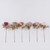 Artificial Flower 13*13*45cm Chinese Rose single stem GS-58825035 2025Dec YeahFlower is one of Chinese leading OEM manufacturers and exporters , supplying the silk flowers, wholesale artificial trees