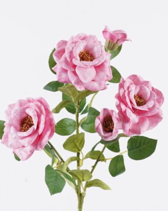 Artificial Flower 22*22*82cm Chinese Rose single stem(real touch) GS-71625012-P1 2026Jan YeahFlower is one of Chinese leading OEM manufacturers and exporters , supplying the silk flowers, wholesale artificial trees Artificial Flower 22*22*82cm Chinese Rose single stem(real touch) GS-71625012-P1 2026Jan YeahFlower is one of Chinese leading OEM manufacturers and exporters , supplying the silk flowers, wholesale artificial trees
