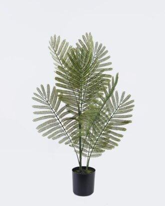 Artificial Flower 28*28*60cm Chrysalidocarpus lutescens in PP pot GS-02225034 2025SEP YeahFlower is one of Chinese leading OEM manufacturers and exporters , supplying the silk flowers, wholesale artificial trees Artificial Flower 28*28*60cm Chrysalidocarpus lutescens in PP pot GS-02225034 2025SEP YeahFlower is one of Chinese leading OEM manufacturers and exporters , supplying the silk flowers, wholesale artificial trees