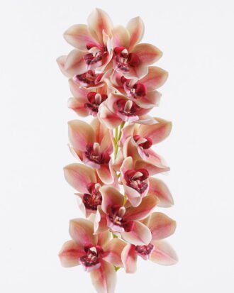 Artificial Flower 16*102cm Cymbidium *13 single stem GS-71625011 2026Jan YeahFlower is one of Chinese leading OEM manufacturers and exporters , supplying the silk flowers, wholesale artificial trees Artificial Flower 16*102cm Cymbidium *13 single stem GS-71625011 2026Jan YeahFlower is one of Chinese leading OEM manufacturers and exporters , supplying the silk flowers, wholesale artificial trees