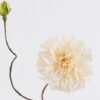 Artificial Flower 15*15*83cm Dahlia *2 single stem/real touch GS-59825003 2025Dec YeahFlower is one of Chinese leading OEM manufacturers and exporters , supplying the silk flowers, wholesale artificial trees