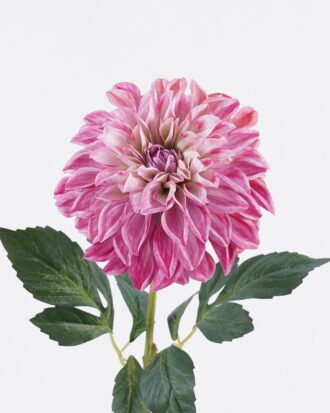 Artificial Flower 15*15*73cm Dahlia single stem GS-64725007 2026Jan YeahFlower is one of Chinese leading OEM manufacturers and exporters , supplying the silk flowers, wholesale artificial trees Artificial Flower 15*15*73cm Dahlia single stem GS-64725007 2026Jan YeahFlower is one of Chinese leading OEM manufacturers and exporters , supplying the silk flowers, wholesale artificial trees